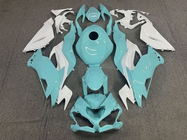 Buy 2019-2023 White Aqua Blue Kawasaki ZX6R Motorcycle Fairings UK