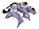 2013-2024 Chameleon Grey Dazz Pearl Purple Kawasaki EX300 Motorcycle Fairings UK