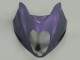 1996-2007 Chameleon Grey Dazz Pearl Purple Suzuki GSXR 1300 Hayabusa Motorcycle Fairings UK