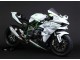 2015-2022 White Silver Green Kawasaki Ninja H2 Motorcycle Fairings UK