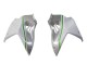 2015-2022 White Silver Green Kawasaki Ninja H2 Motorcycle Fairings UK