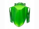 2021-2024 Green Glossy Black Kawasaki Versys 650 Motorcycle Fairings UK