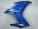 2009-2015 Blue White Yamaha FZ6R Motorcycle Fairings UK