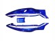 1996-2007 Blue White Black Yamaha YZF600R Thundercat Motorcycle Fairings UK
