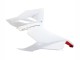 2020-2024 White Red Matte Black Ducati Panigale V2 Motorcycle Fairings UK