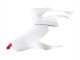 2020-2024 White Red Matte Black Ducati Panigale V2 Motorcycle Fairings UK
