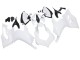 2020-2024 Unpainted Ducati Panigale V2 Motorcycle Fairings UK