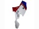 2005-2010 White Red Blue BMW K1200S Abs Fairings UK