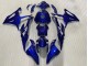 2023-2024 Glossy Dark Blue BMW S1000RR Motorcycle Fairings UK