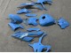 2023-2024 Glossy Blue BMW S1000RR Motorcycle Fairings UK