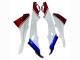2017-2018 White Red Blue Black BMW S1000RR Motorcycle Fairings UK