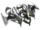 2013-2024 Glossy Black Matte Black Green Kawasaki EX300 Motorcycle Fairings UK