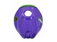 2006-2011 Purple Green Red Aprilia RS125 Motorcycle Fairings UK