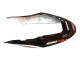 2004-2007 White Glossy Black Red Repsol Honda CBR600 F4i Motorcycle Fairings UK
