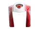 1993-2005 White Red Yellow Green Glossy Black Performance Ducati 748/916/996/998 Motorcycle Fairings UK