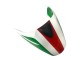 2008-2012 White Red Green Ducati Monster 696 796 1100 1100S Motorcycle Fairing UK