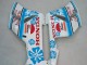 2004-2005 White Blue Snow Nastro Azzurro 46 Honda CBR1000RR Motorcycle Fairings UK