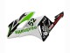 2004-2005 White Green Glossy Black Hannspree 52 Honda CBR1000RR Motorcycle Fairings UK