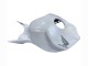 2004-2005 Pearl White Honda CBR1000RR Motorcycle Fairings UK