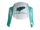 2005-2006 Light Green White Glossy Black JoeRocket Honda CBR600RR Motorcycle Fairings UK