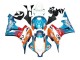 2007-2008 Orange White Red Blue Repsol Honda CBR600RR Motorcycle Fairings UK