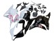 2009-2012 White Cherry Blossom Glossy Black Honda CBR600RR Motorcycle Fairings UK