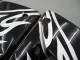 2004-2005 Black White Kawasaki ZX10R Motorcycle Fairings UK