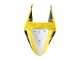 2019-2021 Yellow White Black Stripe Yamaha YZF R3/R25 Motorcycle Fairings UK
