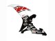 2002-2003 White Red Black Castrol Yamaha YZF 1000 R1 Motorcycle Fairings UK