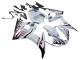 2006-2009 White with Dark Black Flame Yamaha YZF R6S Motorcycle Fairings UK
