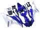 2006-2007 White Blue Black Yamaha YZF 600 R6 Motorcycle Fairings UK