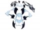 2013-2018 White Glossy Black Green Kawasaki Z800 Motorcycle Fairings UK