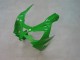 2000-2001 Green Silver Black Kawasaki ZX9R Motorcycle Fairings UK