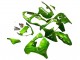2000-2001 Green Flame Kawasaki ZX9R Motorcycle Fairings UK