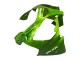 2000-2001 Green Flame Kawasaki ZX9R Motorcycle Fairings UK