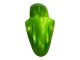 2000-2001 Green Flame Kawasaki ZX9R Motorcycle Fairings UK