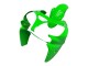 2000-2001 Green Kawasaki ZX9R Motorcycle Fairings UK