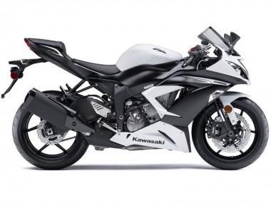 Buy 2013-2018 White Matte Black Kawasaki ZX6R Motorcycle Fairings Kit UK