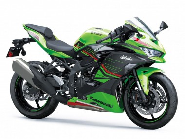 Buy 2019-2025 Green Black Red White Kawasaki ZX4R ZX-4RR Motorcycle Fairings UK