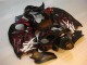Buy 1996-2007 Black Red Flame Suzuki GSXR 1300 Hayabusa Motorbike Fairing UK Buy 1996-2007 Black Red Flame Suzuki GSXR 1300 Hayabusa Motorbike Fairing UK