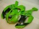 Buy 2007-2008 Green Black Dunlop Kawasaki ZX6R Motorbike Fairing Kits UK Buy 2007-2008 Green Black Dunlop Kawasaki ZX6R Motorbike Fairing Kits UK